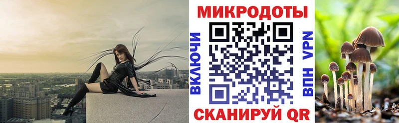Купить  Болхов  Галлюциногенные грибы Magic Shrooms 
